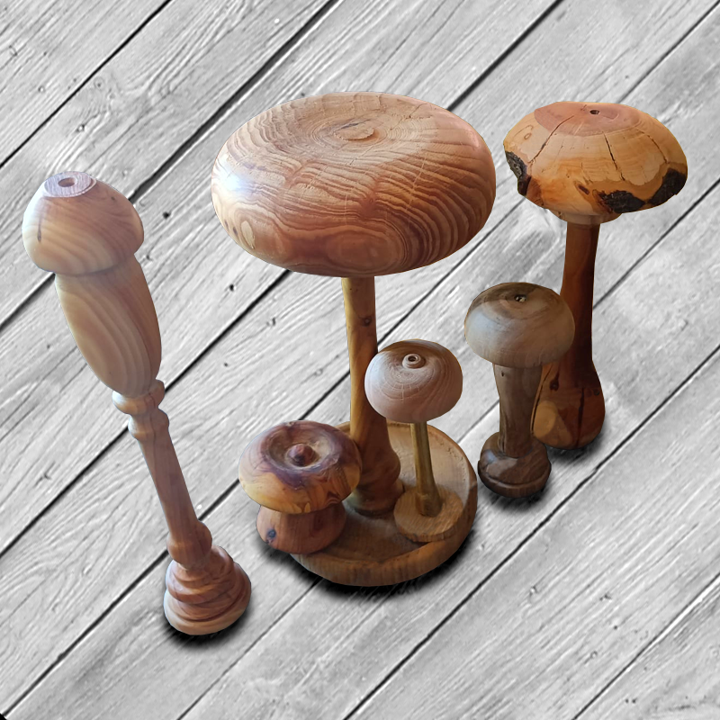 Holz-Pilz-Set